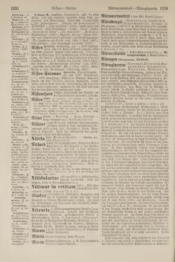 Image of the Page - 1236 - in Pierers Konversations-Lexikon - Lübeck-Ostinato, Volume 9