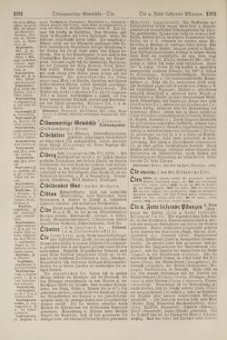 Bild der Seite - 1392 - in Pierers Konversations-Lexikon - Lübeck-Ostinato, Band 9