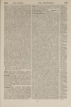 Image of the Page - 1466 - in Pierers Konversations-Lexikon - Lübeck-Ostinato, Volume 9