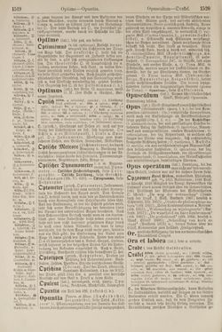 Image of the Page - 1520 - in Pierers Konversations-Lexikon - Lübeck-Ostinato, Volume 9