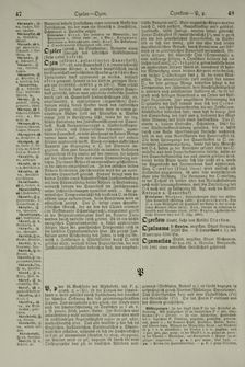 Image of the Page - 48 - in Pierers Konversations-Lexikon - Ostindien-Rusach, Volume 10