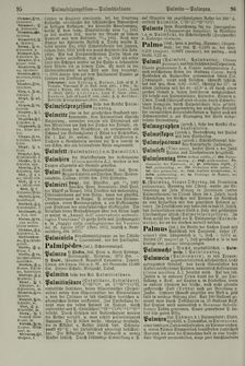 Bild der Seite - 96 - in Pierers Konversations-Lexikon - Ostindien-Rusach, Band 10