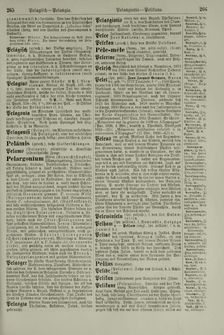 Bild der Seite - 266 - in Pierers Konversations-Lexikon - Ostindien-Rusach, Band 10