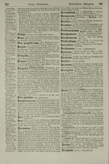 Bild der Seite - 300 - in Pierers Konversations-Lexikon - Ostindien-Rusach, Band 10