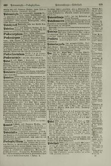 Bild der Seite - 610 - in Pierers Konversations-Lexikon - Ostindien-Rusach, Band 10