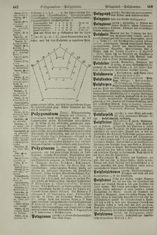 Bild der Seite - 668 - in Pierers Konversations-Lexikon - Ostindien-Rusach, Band 10