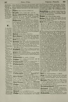Bild der Seite - 928 - in Pierers Konversations-Lexikon - Ostindien-Rusach, Band 10