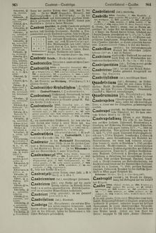 Bild der Seite - 964 - in Pierers Konversations-Lexikon - Ostindien-Rusach, Band 10