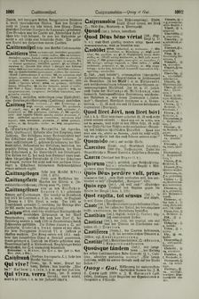 Bild der Seite - 1002 - in Pierers Konversations-Lexikon - Ostindien-Rusach, Band 10