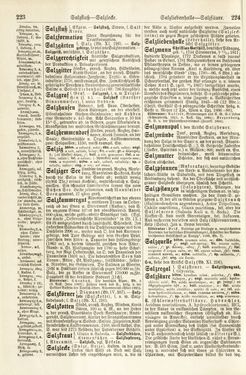 Image of the Page - 223 - 224 - in Pierers Konversations-Lexikon - Rufen-Symi, Volume 11