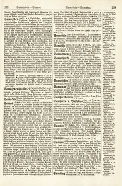 Image of the Page - 237 - 238 - in Pierers Konversations-Lexikon - Rufen-Symi, Volume 11