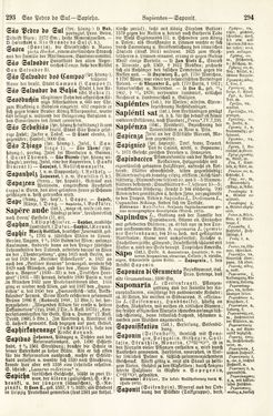 Image of the Page - 293 - 294 - in Pierers Konversations-Lexikon - Rufen-Symi, Volume 11