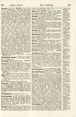 Image of the Page - 305 - 306 - in Pierers Konversations-Lexikon - Rufen-Symi, Volume 11