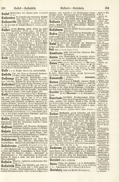 Image of the Page - 313 - 314 - in Pierers Konversations-Lexikon - Rufen-Symi, Volume 11