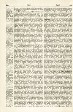 Image of the Page - 455 - 456 - in Pierers Konversations-Lexikon - Rufen-Symi, Volume 11
