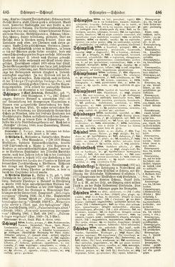 Bild der Seite - 485 - 486 - in Pierers Konversations-Lexikon - Rufen-Symi, Band 11
