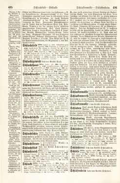 Bild der Seite - 495 - 496 - in Pierers Konversations-Lexikon - Rufen-Symi, Band 11