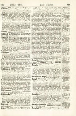 Bild der Seite - 497 - 498 - in Pierers Konversations-Lexikon - Rufen-Symi, Band 11