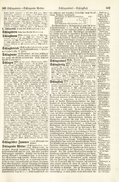 Bild der Seite - 501 - 502 - in Pierers Konversations-Lexikon - Rufen-Symi, Band 11