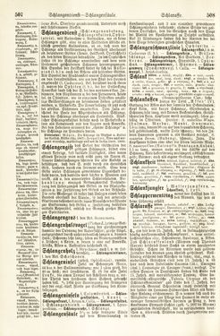Bild der Seite - 507 - 508 - in Pierers Konversations-Lexikon - Rufen-Symi, Band 11