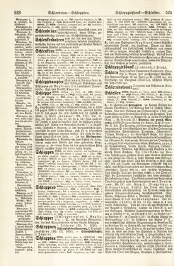 Image of the Page - 523 - 524 - in Pierers Konversations-Lexikon - Rufen-Symi, Volume 11