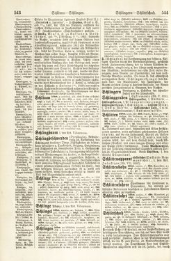 Bild der Seite - 543 - 544 - in Pierers Konversations-Lexikon - Rufen-Symi, Band 11