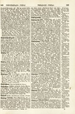 Bild der Seite - 545 - 546 - in Pierers Konversations-Lexikon - Rufen-Symi, Band 11