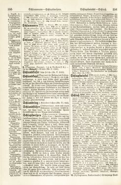 Bild der Seite - 555 - 556 - in Pierers Konversations-Lexikon - Rufen-Symi, Band 11