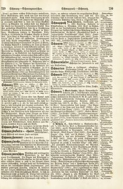 Image of the Page - 729 - 730 - in Pierers Konversations-Lexikon - Rufen-Symi, Volume 11
