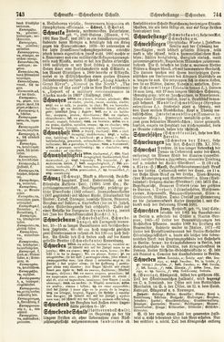 Image of the Page - 743 - 744 - in Pierers Konversations-Lexikon - Rufen-Symi, Volume 11