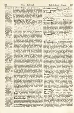 Bild der Seite - 839 - 840 - in Pierers Konversations-Lexikon - Rufen-Symi, Band 11