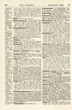 Image of the Page - 855 - 856 - in Pierers Konversations-Lexikon - Rufen-Symi, Volume 11