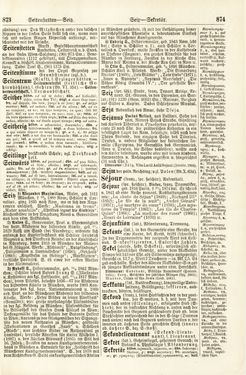 Bild der Seite - 873 - 874 - in Pierers Konversations-Lexikon - Rufen-Symi, Band 11