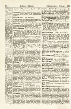 Bild der Seite - 875 - 876 - in Pierers Konversations-Lexikon - Rufen-Symi, Band 11