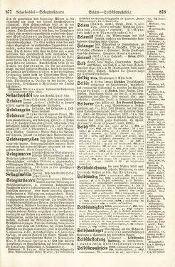 Bild der Seite - 877 - 878 - in Pierers Konversations-Lexikon - Rufen-Symi, Band 11