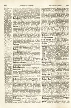 Bild der Seite - 883 - 884 - in Pierers Konversations-Lexikon - Rufen-Symi, Band 11