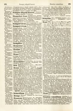 Bild der Seite - 895 - 896 - in Pierers Konversations-Lexikon - Rufen-Symi, Band 11
