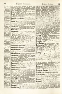 Bild der Seite - 911 - 912 - in Pierers Konversations-Lexikon - Rufen-Symi, Band 11