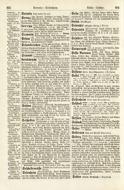 Bild der Seite - 935 - 936 - in Pierers Konversations-Lexikon - Rufen-Symi, Band 11