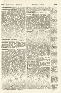 Bild der Seite - 1089 - 1090 - in Pierers Konversations-Lexikon - Rufen-Symi, Band 11