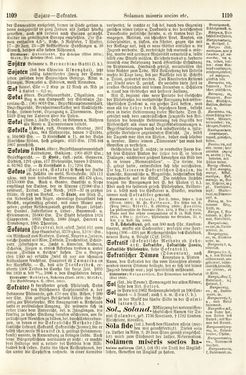 Bild der Seite - 1109 - 1110 - in Pierers Konversations-Lexikon - Rufen-Symi, Band 11