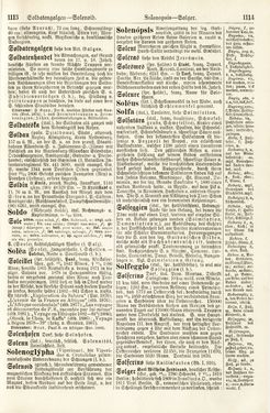 Image of the Page - 1113 - 1114 - in Pierers Konversations-Lexikon - Rufen-Symi, Volume 11