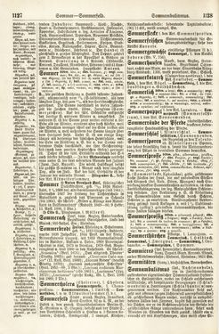 Bild der Seite - 1127 - 1128 - in Pierers Konversations-Lexikon - Rufen-Symi, Band 11
