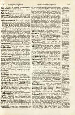 Bild der Seite - 1245 - 1246 - in Pierers Konversations-Lexikon - Rufen-Symi, Band 11