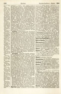 Image of the Page - 1263 - 1264 - in Pierers Konversations-Lexikon - Rufen-Symi, Volume 11
