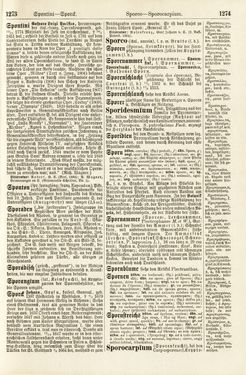 Bild der Seite - 1273 - 1274 - in Pierers Konversations-Lexikon - Rufen-Symi, Band 11