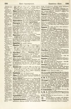 Bild der Seite - 1295 - 1296 - in Pierers Konversations-Lexikon - Rufen-Symi, Band 11
