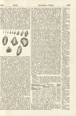 Bild der Seite - 1321 - 1322 - in Pierers Konversations-Lexikon - Rufen-Symi, Band 11