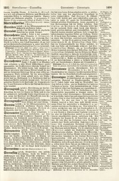 Bild der Seite - 1405 - 1406 - in Pierers Konversations-Lexikon - Rufen-Symi, Band 11