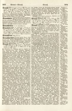 Bild der Seite - 1493 - 1494 - in Pierers Konversations-Lexikon - Rufen-Symi, Band 11